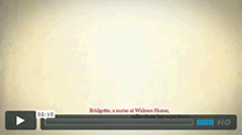 video_bridgette